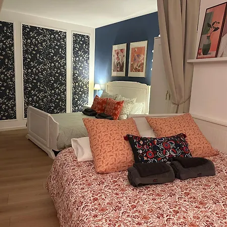 Apartment Charming In The Heart Of Colmar