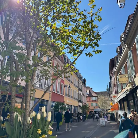 Charming In The Heart Of Colmar