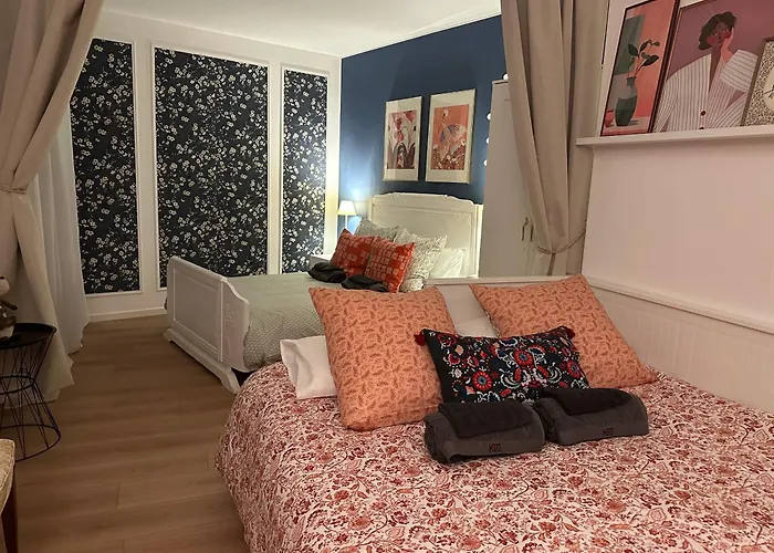 Apartment Charming In The Heart Of Colmar