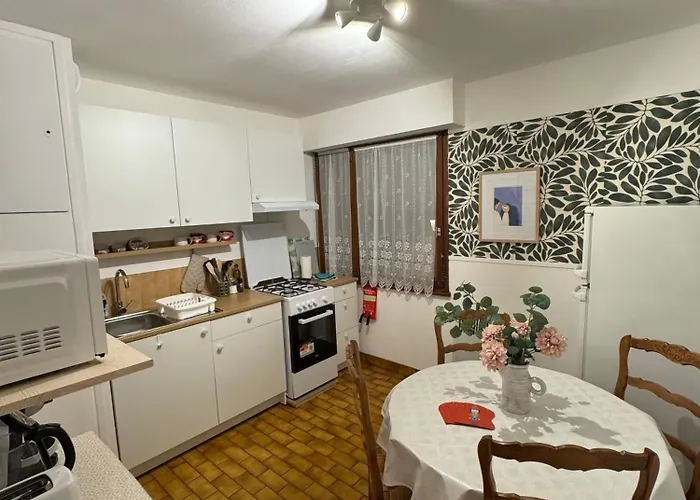 Charming In The Heart Of Apartment Colmar