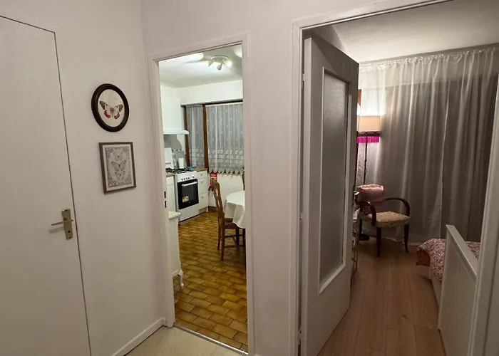 Apartment Charming In The Heart Of Colmar